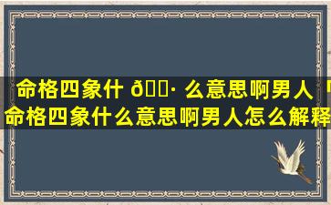命格四象什 🌷 么意思啊男人「命格四象什么意思啊男人怎么解释 🦉 」